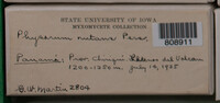 Physarum nutans image